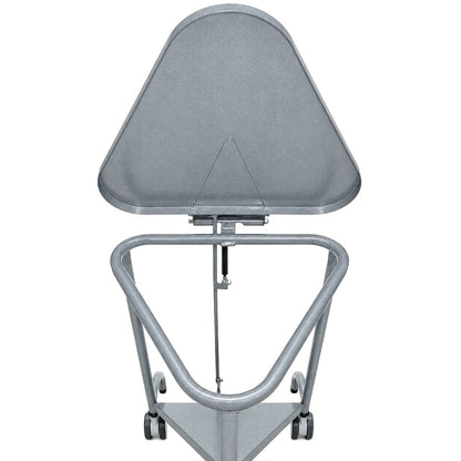Antimicrobial Triangular Hamper