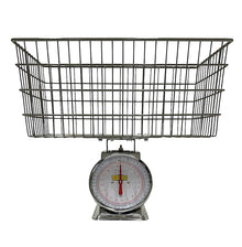 Economy Laundry Scale, 40 lb. Capacity - Not Legal for Trade